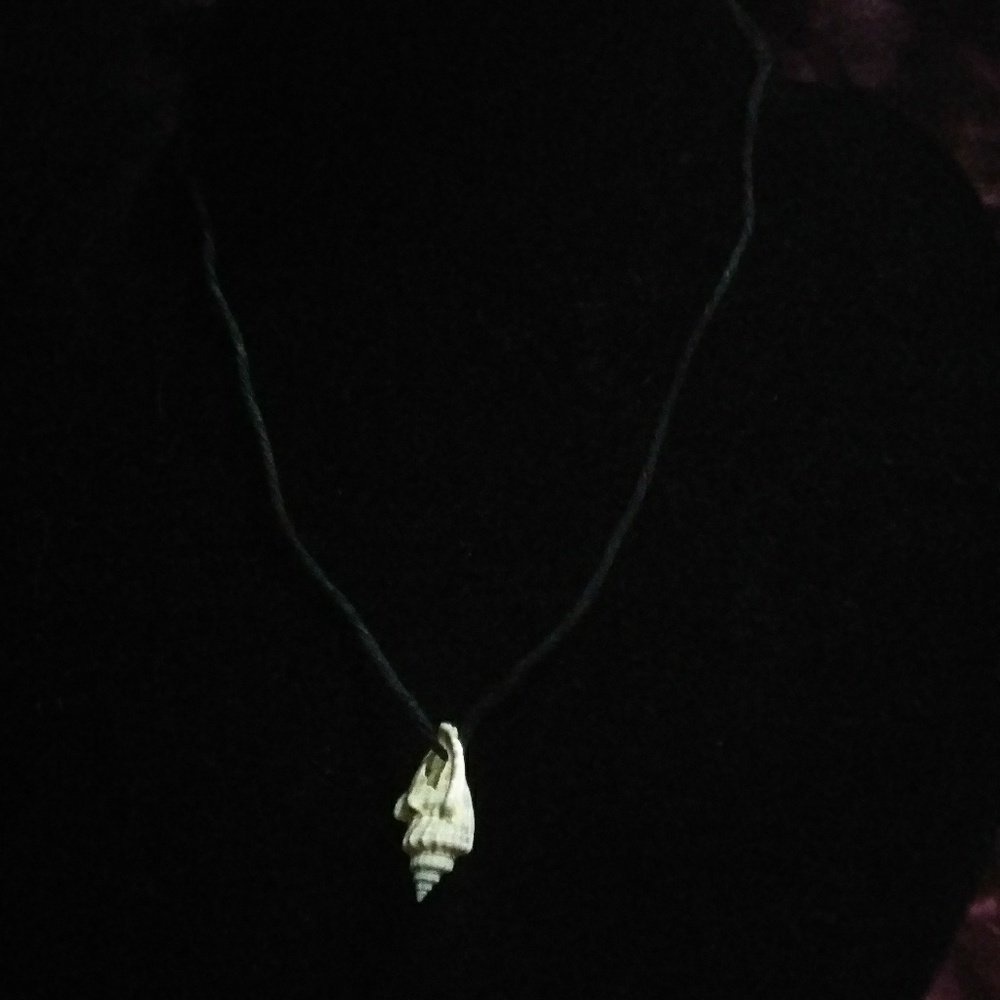 Natural Florida shell necklace